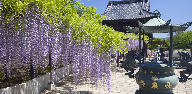 長泉寺